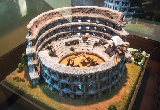 テーマ パーク プシュケ ワールド